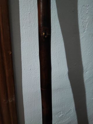 Bastón de madera oscura