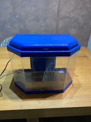 Acuario para peces New Kidsafe con filtro Biobox