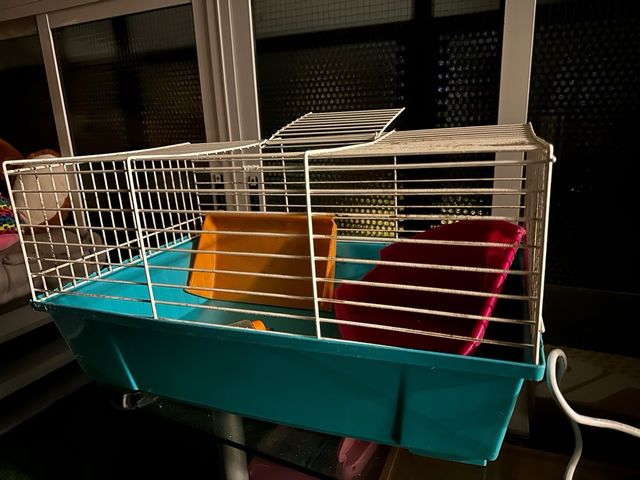 Jaula roedor