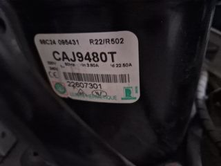 Motor camara frigorifica