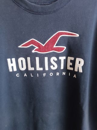 Sudadera de Hollister