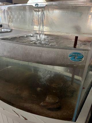 Acuario para restauranción