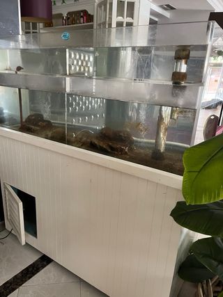 Acuario para restauranción