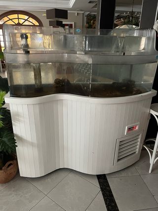 Acuario para restauranción