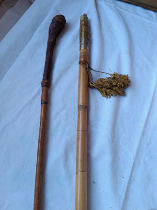 Piccoli bastoni da passeggio