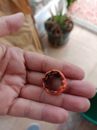 Anillo de Bimba y Lola