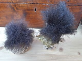 Coppia Trolls Norvegesi