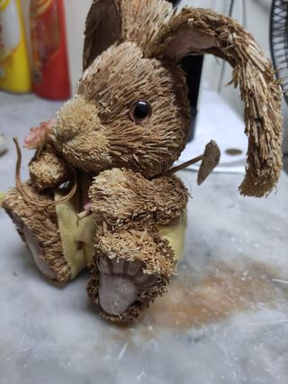 Coniglio pasquale 