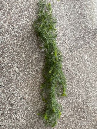 Plantas artificiales