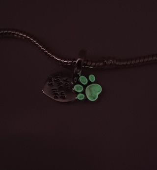 Charm