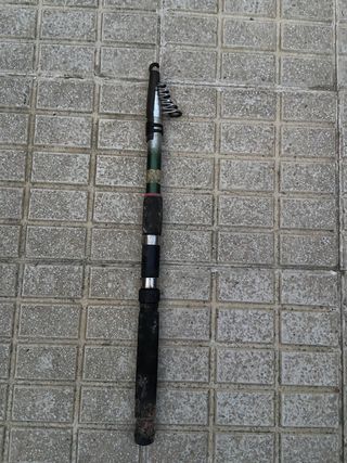 Vara de pesca sem carretel