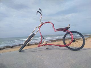 Bicicleta única artesanal 800e