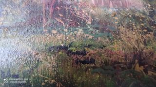 Cuadro al oleo firmado