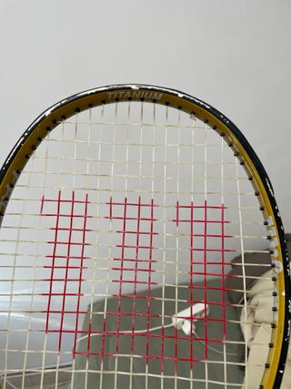 Raqueta Wilson Fronton pro