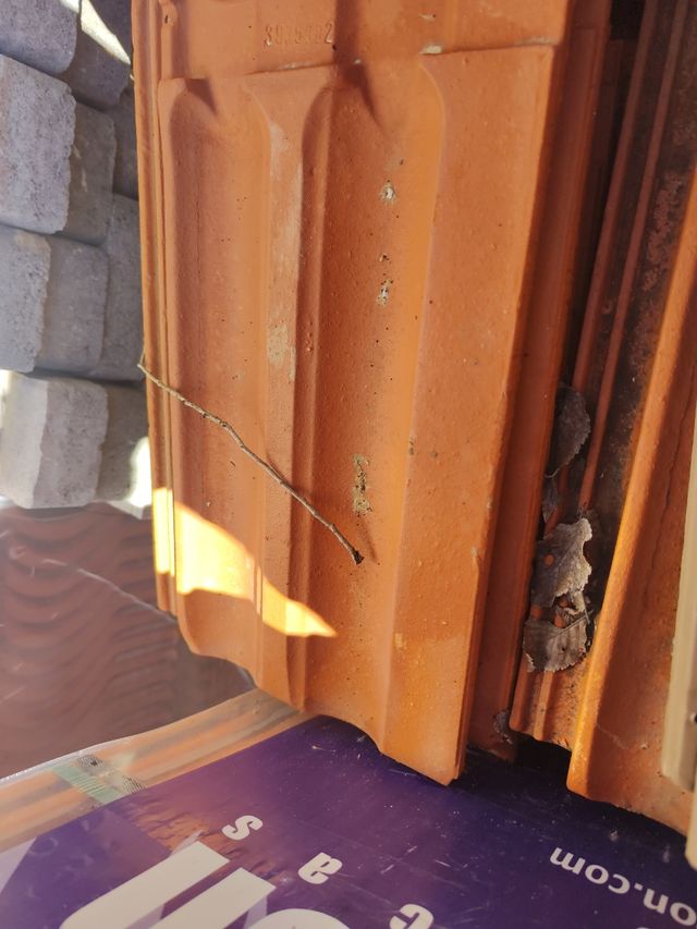 Teja plana la oliva 28x47