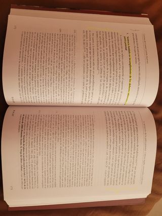 La privación de la patria potestad