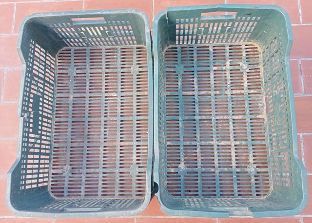 CAJAS DE PLÁSTICO MEDIANAS 60X40X24  CON TARAS