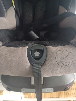 Sillita coche niño