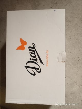 Zapatos de trabajo
