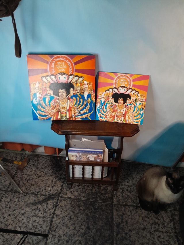 acuarela del cuadro de jimi hendrix