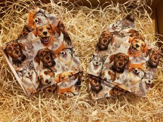 Mascarillas de perritos