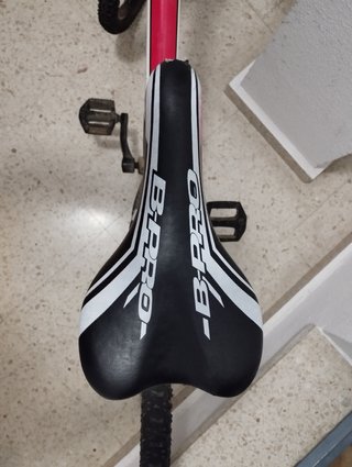 Bicicleta B-pro