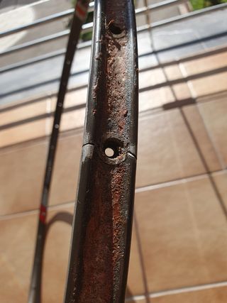 Campagnolo Pave Record Llanta
