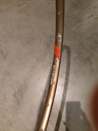 Campagnolo Pave Record Llanta