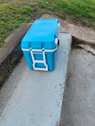 Nevera portátil de ruedas 