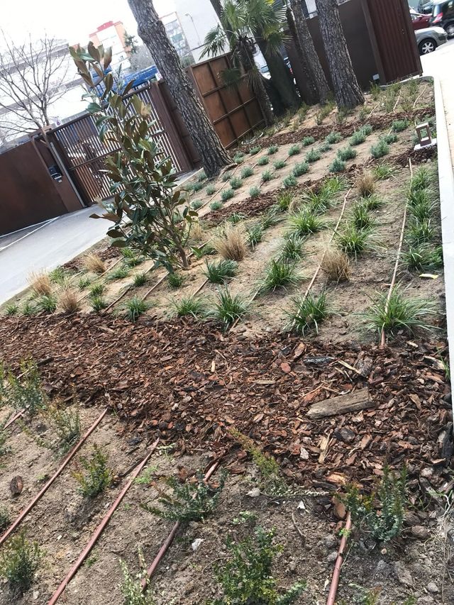 Diseño y realizacion de jardines