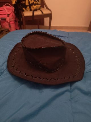 Disfraz zorro