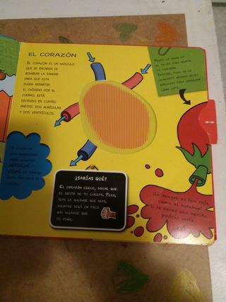 Libro el cuerpo humano