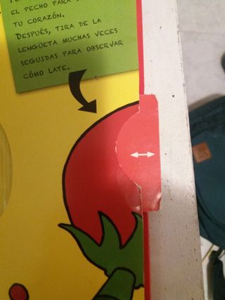 Libro el cuerpo humano