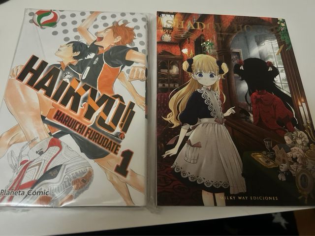 Mangas variados 