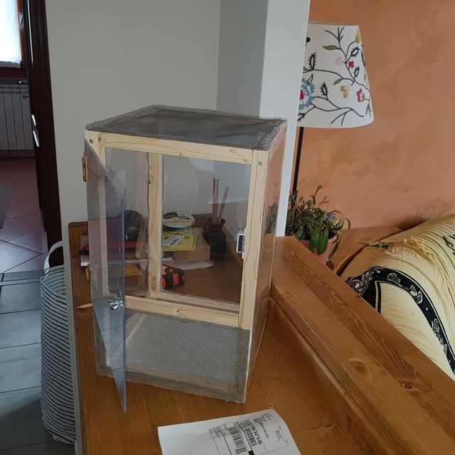 Teca terrario insetti stecco 40cm