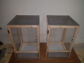 Teca terrario insetti stecco 40cm