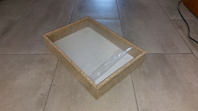 Scatola entomologica, collezione insetti