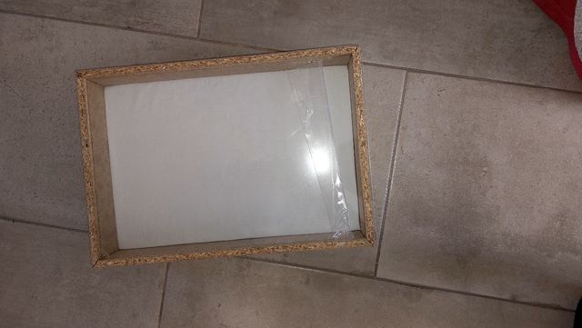 Scatola entomologica, collezione insetti