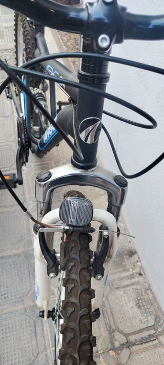 Bicicleta Avigo 20 Downhill