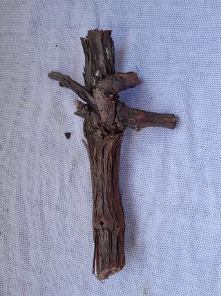 Ramas, terrarios, jardines eternos