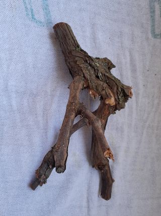 Ramas, terrarios, jardines eternos