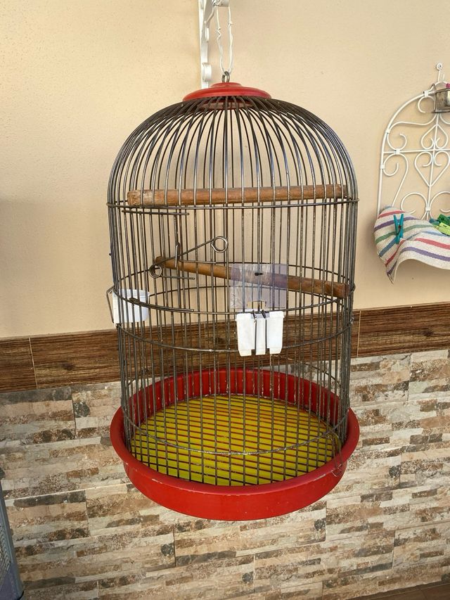 Gabbia per uccelli