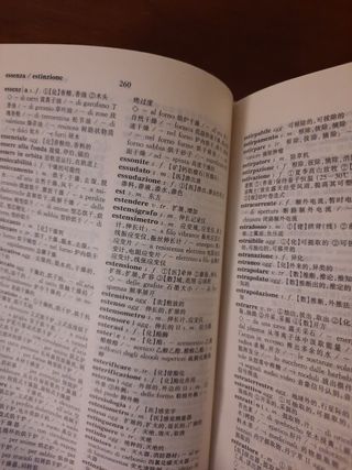 Dizionario cinese italiano TECNICO