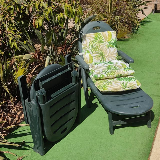 Tumbona de jardín de resina Caimán