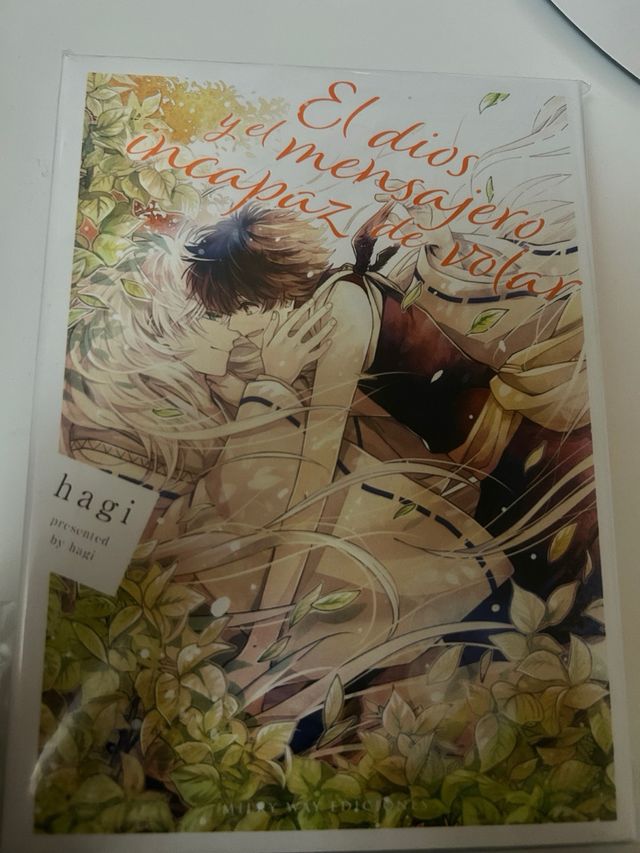 Manga El dios y el mensajero incapaz de volar