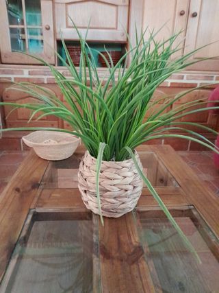 Alquilo habitacion