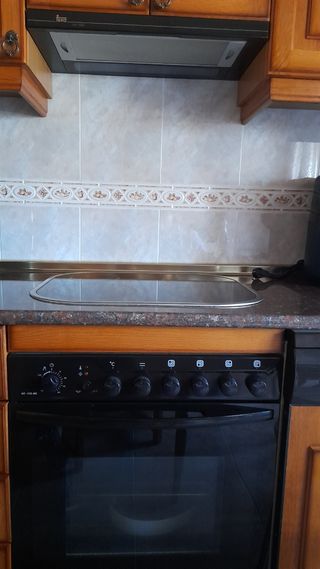 Conjunto vitro- horno- extractor