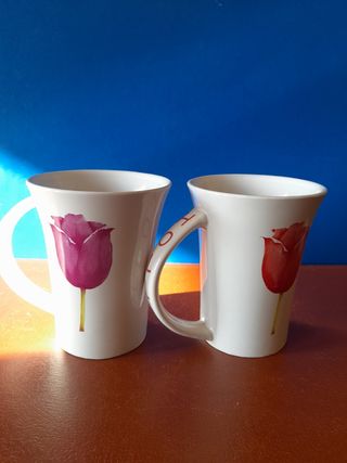 Tazas Tulipanes Holanda