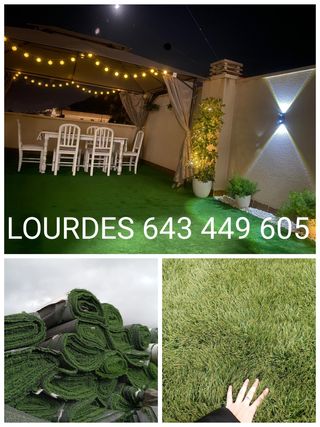 Descubre el verde ideal con césped