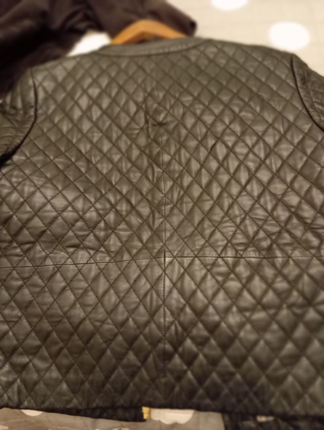 Chaqueta fórmula joven